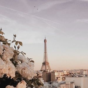 Meet your Posher, Brenda